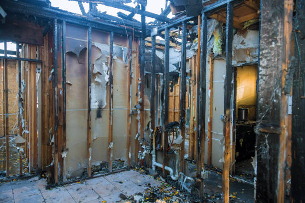 Professional Smoke Damage Removal technician working in Maple Heights-Lake Desire, WA